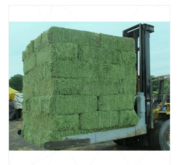 Alfalfa hay for sale